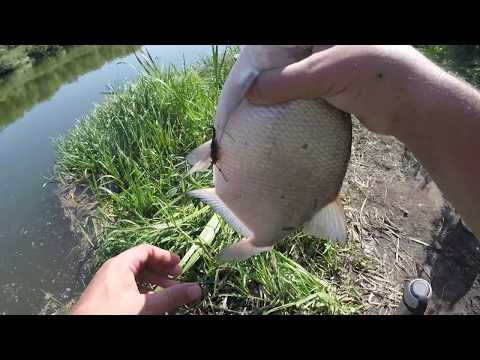 Видео: Где ловить леща на реке Дон Как ловить крупного леща на реке.