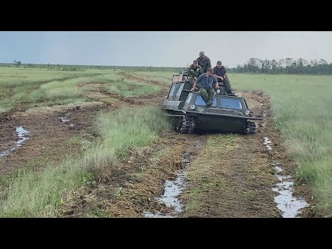 Видео: Болото тоже может гореть! Едем тушить пожар на Васюганском болоте!