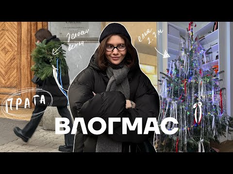 Видео: 29. ВЛОГМАС. ивенты, друзья, огромная елка и много смеха