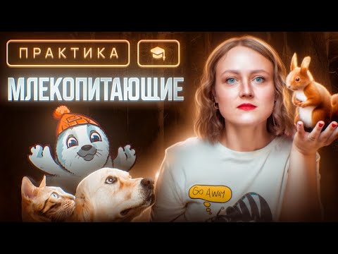 Видео: Млекопитающие | ЕГЭ-2025 по биологии