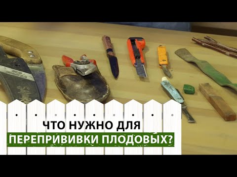 Видео: Используйте эти инструменты для перепрививки плодовых! Что купить для перепрививки плодовых?