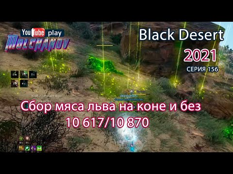 Видео: Мясо льва. Black Desert Фарм серебра 2021. Лучница.