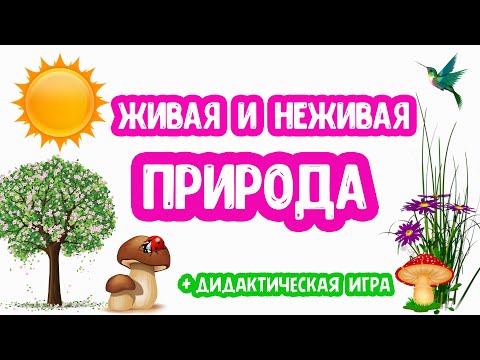 Видео: Живая и НЕживая ПРИРОДА развивающее видео, дидактическая игра