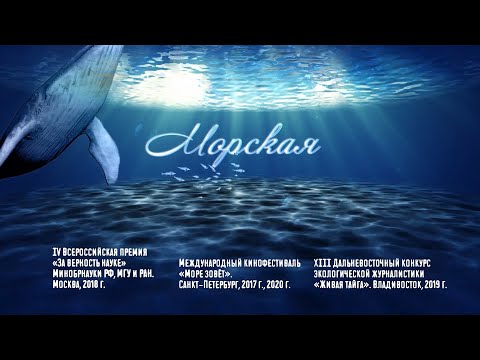 Видео: МОРСКАЯ. Посьет - город солнца