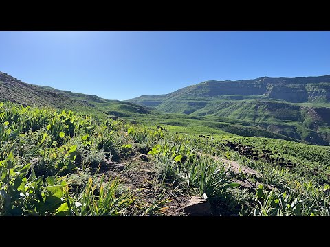 Видео: Алтемур дробилка ба тамоми нохияхои точикистон доставка доран