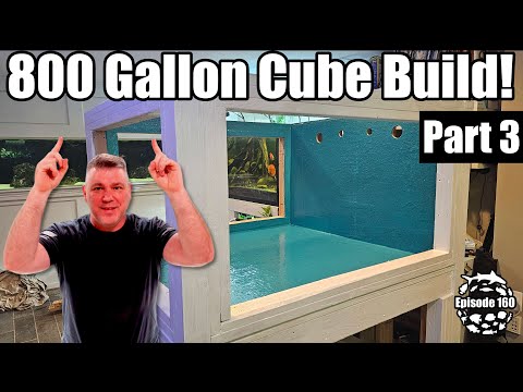 Видео: Создание 800-галлонного кубического аквариума объемом 6 футов. Часть 3