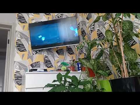 Видео: Фикси тиры на ютуби