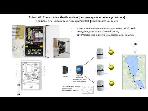 Видео: Анализ кинетических кривых флуоресценции хлорофилла, измеренных приборами СМАРТ
