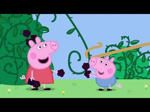 Видео: Свинка Пеппа серия "Куст ежевики"