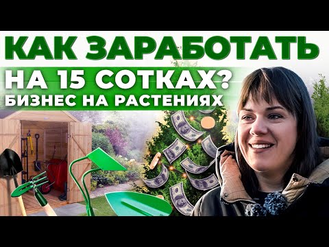 Видео: Как заработать на туях и можжевельнике? Бизнес в деревне | Брянск | Андрей Даниленко