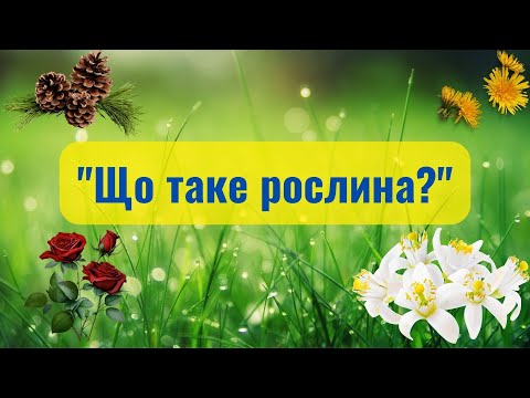 Видео: "Що таке рослина?"