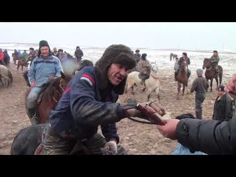 Видео: Қазығұрт Арман көкпар 21.01.2017