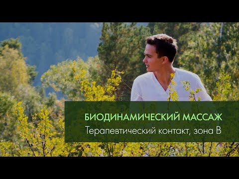 Видео: Терапевтический контакт, зона B. Биодинамический массаж. Виктор Андреев