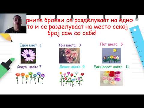 Видео: I одделение - Математика - Препознава парни и непарни броеви до 20