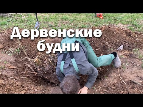 Видео: Корчую пни // Строю печь на 1200 кирпичей // Весна на пасеке
