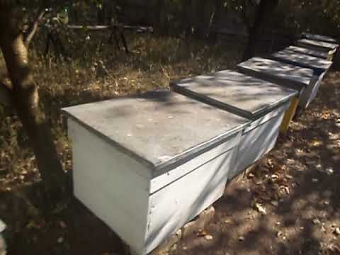 Видео: Маленькая ошибка , очень маленькая при постановке полосок .