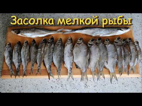 Видео: Засолка Рыбы. Выпуск №242
