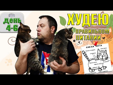 Видео: Пробую похудеть за месяц на правильном питании. День 4-6.