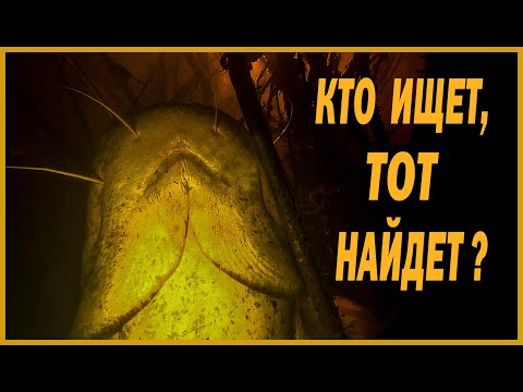 Видео: КТО ИЩЕТ, ТОТ НАЙДЕТ??? ОХОТА НА СОМА | ПОДВОДНАЯ ОХОТА 2021