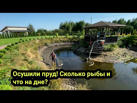 Видео: ОТКАЧАЛИ ПРУД СПУСТЯ 10 ЛЕТ! В шоке от того что увидели! Рыбалка.