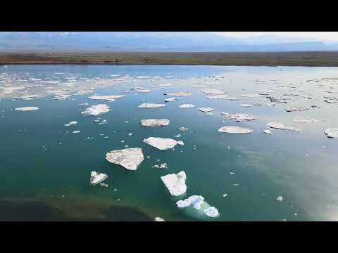 Видео: весна на озере Алаколь.2024г.