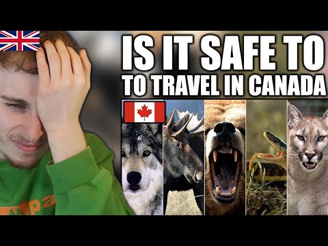 Видео: Реакция британца на самых опасных животных в Канаде
