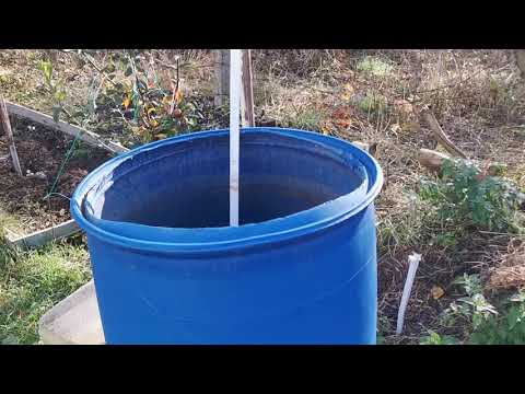 Видео: Как и защо торя през есента