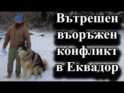 Видео: Вътрешен въоръжен конфликт в Еквадор