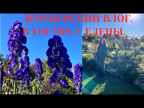 Видео: ВЛОГ/ НЕОБЫЧНЫЙ рецепт БЛИНОВ / Обзор НОВЫХ спиц / МК как соединяю БАБУШКИН квадрат / ЧТО ВЯЖУ