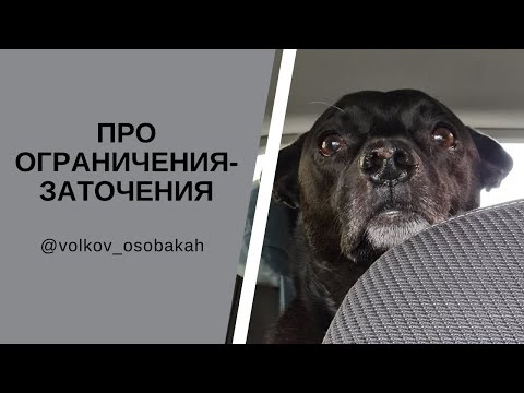 Видео: Эффективный способ успокоить собаку: ограничение пространства! Когда ограничение полезно для собаки