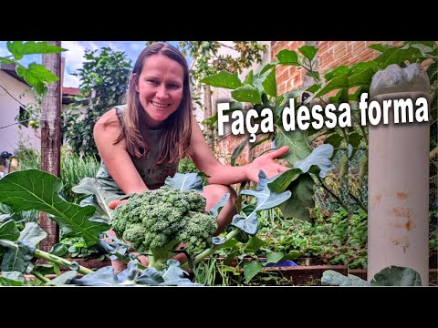 Видео: В чем секрет получения красивых овощей?