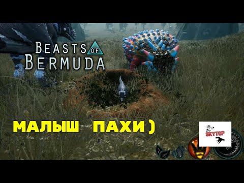 Видео: BEASTS OF BERMUDA.МАЛЫШ ПАХИ.)РЕКС СЪЕЛ МАМУ!СЕРВЕР TROUBLE HOME