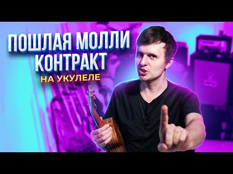Видео: ПОШЛАЯ МОЛЛИ - КОНТРАКТ на УКУЛЕЛЕ | аккорды + разбор