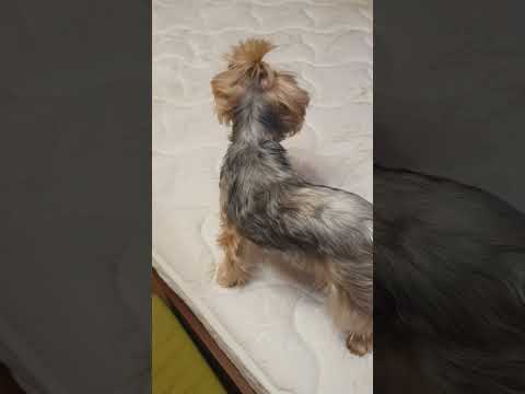 Видео: 28 октября 2025 г.