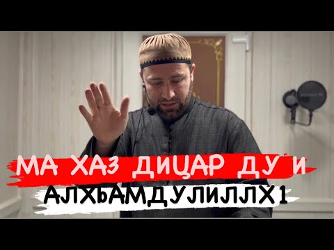 Видео: Ч1ОГ1А ХАЗ ХЬЕХАМ /АХМАДОВ ТУРПАЛ.