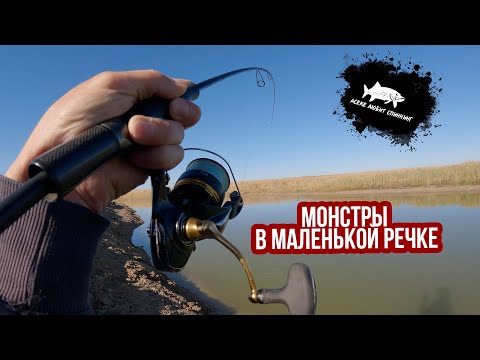 Видео: За крупными щуками! #рыбалка2025 #рыбалка #рыбалканащуку