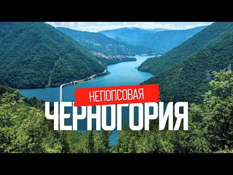 Видео: Дикая Черногория: путешествие от моря в горы