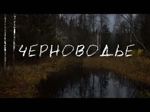 Видео: Черноводье. Деревня Москва, посёлок Ранцево и город Осташков. Квинтэссенция ноябрьской депрессии.