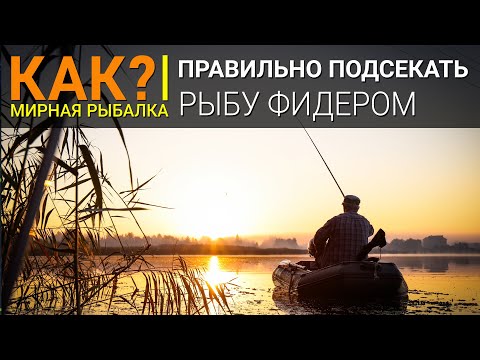 Видео: Как подсекать рыбу фидером?