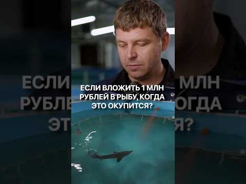 Видео: Прибыльная бизнес-идея 2026! Сколько принесет рыбная ферма если вложить 1 млн? #узв #рыба #бизнес
