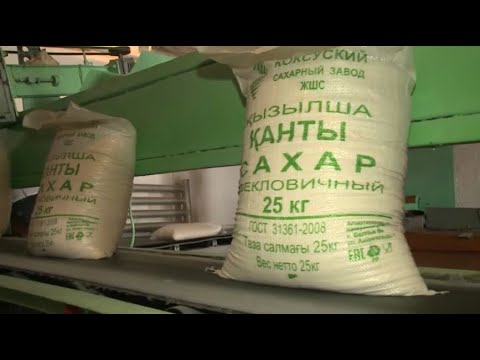Видео: Причины снижения объёма производства сахара в Казахстане