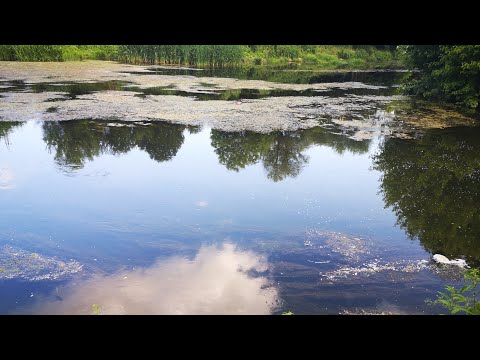 Видео: РЕЧЕН РИБОЛОВ на ПЛУВКА. ТЕСТ на НЯКОЛКО МЕСТА.