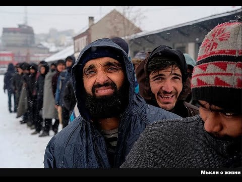 Видео: Банды бородатых преступников