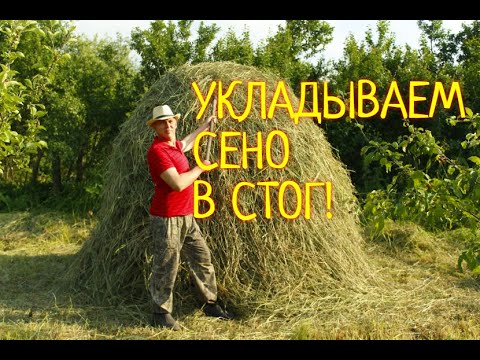 Видео: КАК ПРАВИЛЬНО СЛОЖИТЬ СТОГ СЕНА//МОЯ ЛЮБИМАЯ УСАДЬБА