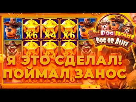 Видео: МОЙ РЕКОРДНЫЙ ЗАНОС ПО 1.000 В НОВЫХ СОБАКАХ THE DOG HOUSE DOG OR ALIVE | ЗАНОСЫ НЕДЕЛИ В CRAZY TIME