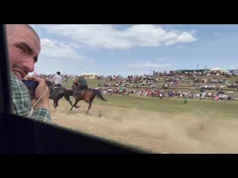 Видео: Бега.Рысаки Иноходсы В Абазинском Районе