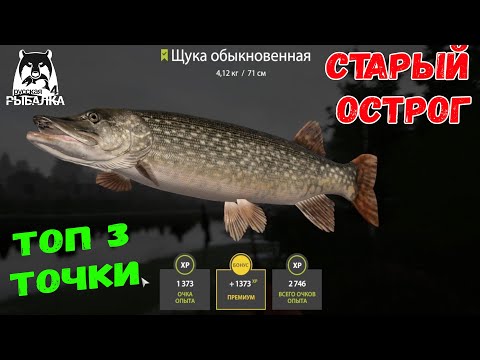 Видео: ТОП 3 ТОЧКИ НА ОСТРОГЕ ДЛЯ ФАРМА ЩУКИ В РУССКОЙ РЫБАЛКЕ 4 РР4