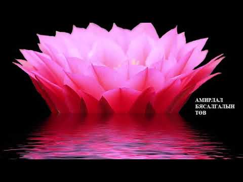 Видео: 🎧 ХҮСЭЛ БА ҮЛ ХҮЛЭЭХҮЙ_#4_АМИРЛАЛ БЯСАЛГАЛЫН ТӨВ