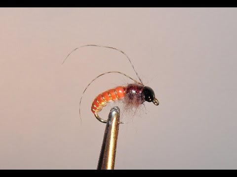 Видео: ,,ПЕРВАЯ НИМФА,, -  ,,РУЧЕЙНИК - ПЯТИМИНУТКА,,  SVA