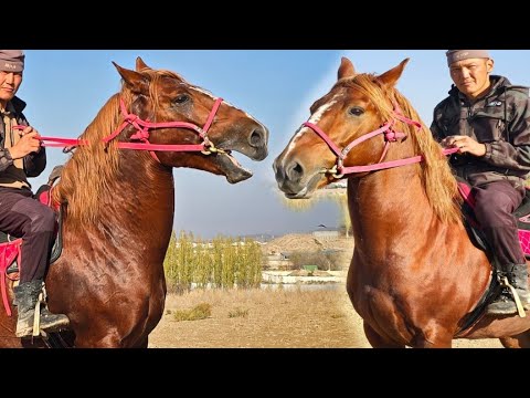 Видео: Дакан Линия Өрүкзарлуу Баткенде✊️